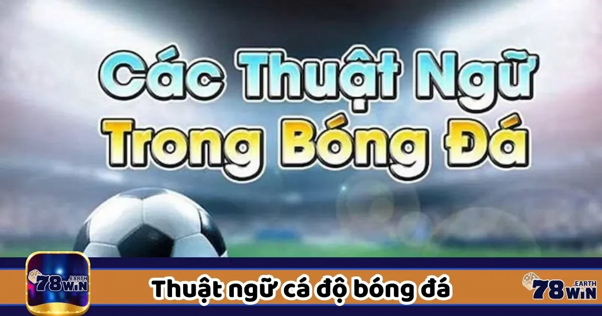 Thuật ngữ cá độ bóng đá - Tìm hiểu chi tiết